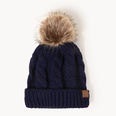 korean style warm leather label fur ball knitted hat wholesale Nihaojewelrypicture37