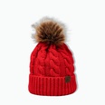 korean style warm leather label fur ball knitted hat wholesale Nihaojewelrypicture40