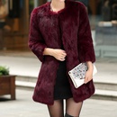 2021 winter new imitation Haining Rex rabbit fur Korean womens midlength slim coat fashion send chainpicture13
