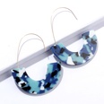 fashion leopard print tortoiseshell acrylic Ushaped earringspicture41