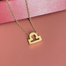 Simple Fashion Twelve Constellation Stainless Steel Geometric Necklace Wholesale Nihaojewelrypicture30
