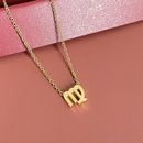 Simple Fashion Twelve Constellation Stainless Steel Geometric Necklace Wholesale Nihaojewelrypicture29