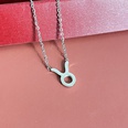 Simple Fashion Twelve Constellation Stainless Steel Geometric Necklace Wholesale Nihaojewelrypicture35