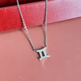 Simple Fashion Twelve Constellation Stainless Steel Geometric Necklace Wholesale Nihaojewelrypicture37