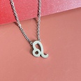 Simple Fashion Twelve Constellation Stainless Steel Geometric Necklace Wholesale Nihaojewelrypicture40