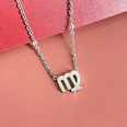 Simple Fashion Twelve Constellation Stainless Steel Geometric Necklace Wholesale Nihaojewelrypicture42