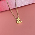 Simple Fashion Twelve Constellation Stainless Steel Geometric Necklace Wholesale Nihaojewelrypicture49