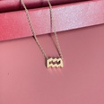 Simple Fashion Twelve Constellation Stainless Steel Geometric Necklace Wholesale Nihaojewelrypicture51