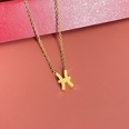 Simple Fashion Twelve Constellation Stainless Steel Geometric Necklace Wholesale Nihaojewelrypicture52