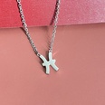 Simple Fashion Twelve Constellation Stainless Steel Geometric Necklace Wholesale Nihaojewelrypicture53
