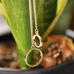 Simple tassels circle pendant earrings wholesale jewelry Nihaojewelry