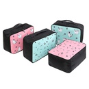 cartoon printing travel trolley suitcase luggage bag wholesale Nihaojewelrypicture31
