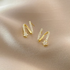 Korean fashion ins style niche earrings simple micro-inlaid zircon earrings design sense star ear jewelry