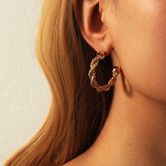 geometric shape c-shaped hoop earrings summer style 2021 new trendy temperament earrings metal earrings