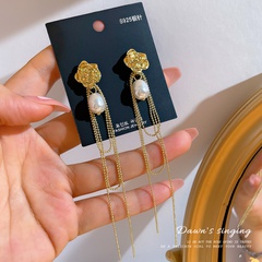 Copper temperament vintage rose earrings irregular pearl earrings palace style long tassel earrings