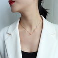 TitaniumStainless Steel Korea Sweetheart necklace  Mini heart rose alloy NHOK0224Miniheartrosealloypicture5