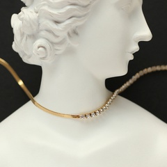 fashion geometric snake bone claw zircon chain titanium steel necklace