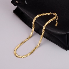 Titanium steel new wheat spike chain Cuban chain necklace women's simple necklace