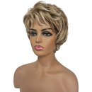 Ladies Short Hair Curly Wig Blonde Gradient Wigpicture11
