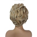 Ladies Short Hair Curly Wig Blonde Gradient Wigpicture14