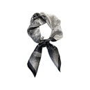 Spring and Autumn Thin Black and White Moon Pegasus Star Summer Scarfpicture10