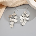 Leaf Butterfly Creative Personality Fashion Hollow Metal Leaf Earringspicture32