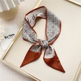 Korean silk scarves small long ribbons womens tied bags decorative scarfspicture24