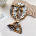 Long silk scarf womens spring neck decoration fashion long thin scarf with shirt scarfpicture17