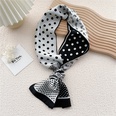 Long silk scarf womens spring neck decoration fashion long thin scarf with shirt scarfpicture29