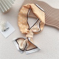 Long silk scarf womens spring neck decoration fashion long thin scarf with shirt scarfpicture37