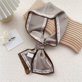 New silk scarves womens spring and autumn thin scarves wholesalepicture16