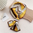 New silk scarves womens spring and autumn thin scarves wholesalepicture19