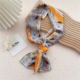 New silk scarves womens spring and autumn thin scarves wholesalepicture35