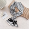 New silk scarves womens spring and autumn thin scarves wholesalepicture41