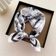fashion small square scarf silk female spring and autumn thin scarf wholesalepicture13