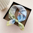 fashion small square scarf silk female spring and autumn thin scarf wholesalepicture19