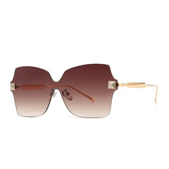 fashion retro trend catwalk sunglasses modern sunglasses