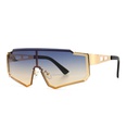 mens Metal Sports Cycling Outdoor UV Protection Fashion Sunglassespicture19