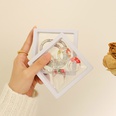 Bote de cadeau de dcoration de sac de bracelet d39anneau d39affichage de bote de film de matriel transparentpicture12