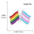 Broche en alliage de bannire colore de dessin anim gay Rainbow Pride en forme de coeurpicture26