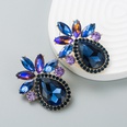 fashion shiny alloy rhinestoneencrusted glass pineappleshaped earringspicture19