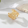 retro exquisite alloy hollow butterfly ring simple animal opening ring  NHGO603526picture12