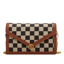 fashion messenger small bag womens winter new style checkerboard small square bagpicture10