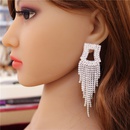 Europe and the United States fashion dropshaped long tassel earringspicture9