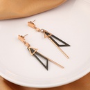 fashion new geometric triangle irregular titanium steel contrast color earringspicture8