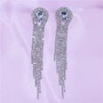 shiny rhinestones with gemstones long tassel womens earrings wholesalepicture12