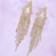 European and American fashionable rhinestone zircon long tassel earrings ladiespicture10