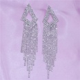 European and American fashionable rhinestone zircon long tassel earrings ladiespicture11