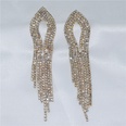 European and American female zircon earrings simple long tassel pendant earringspicture10