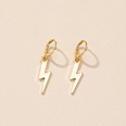 Korean simple fashion lightning earrings niche earrings female wholesalepicture11